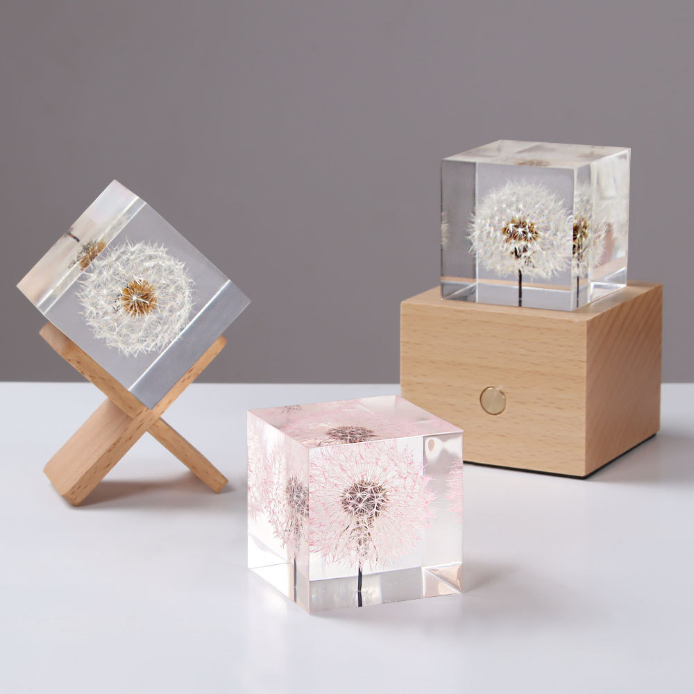 Flower Preservation Resin - Bunga Dandelion yang diawetkan dan dekorasi