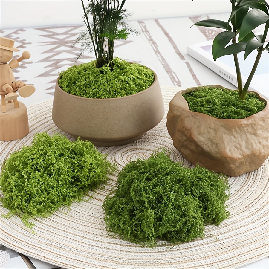 Terrarium Moss Art - 1 Pak lumut palsu buatan, 1.05