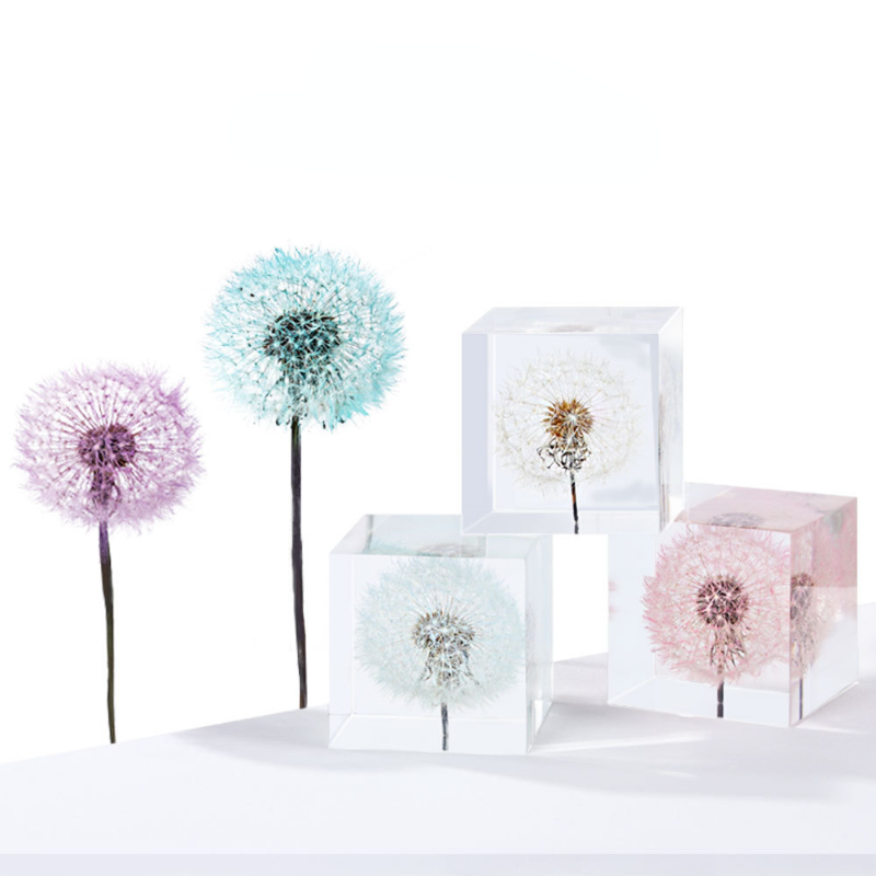 Bunga Dandelion yang diawetkan - Flower Preservation Resin ulasan dan harga
