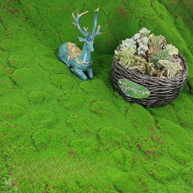 Rumput buatan, Lumut rumput pa - Terrarium Moss Art ulasan dan harga
