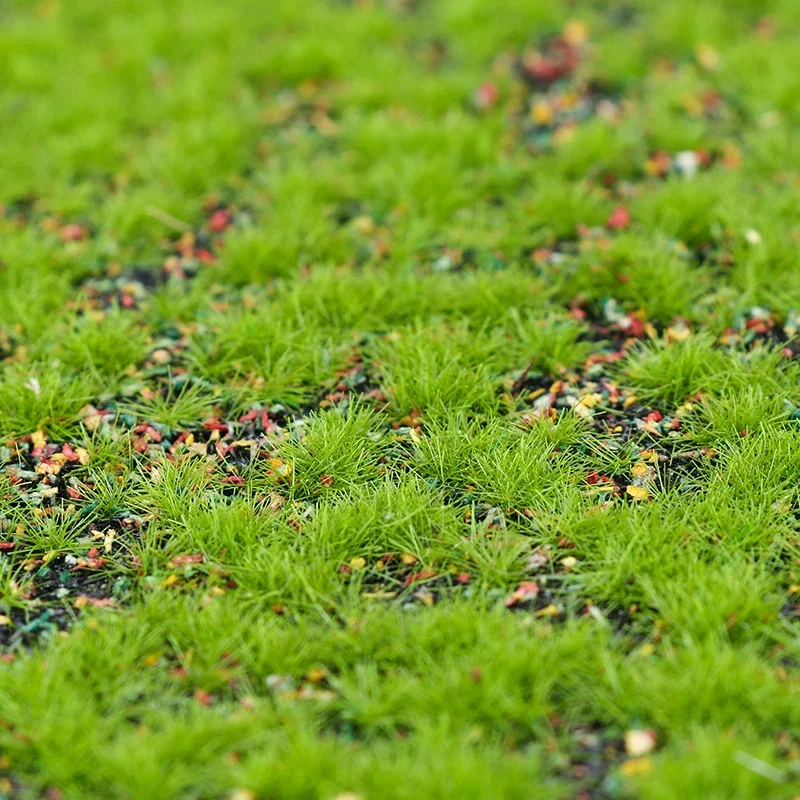Rumput buatan, Lumut rumput pa - Terrarium Moss Art ulasan dan harga