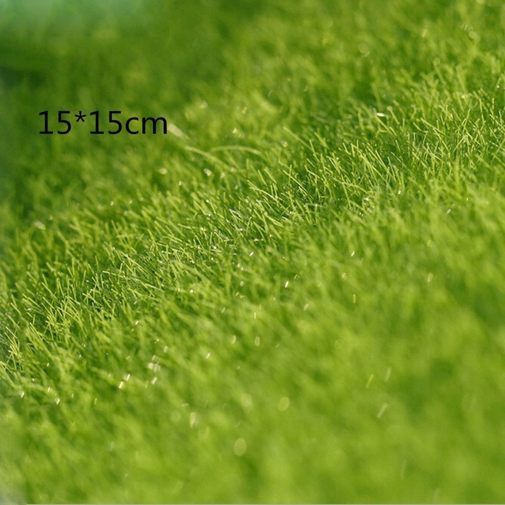 Dekorasi Rumput Ekologis Hiasa - Terrarium Moss Art ulasan dan harga