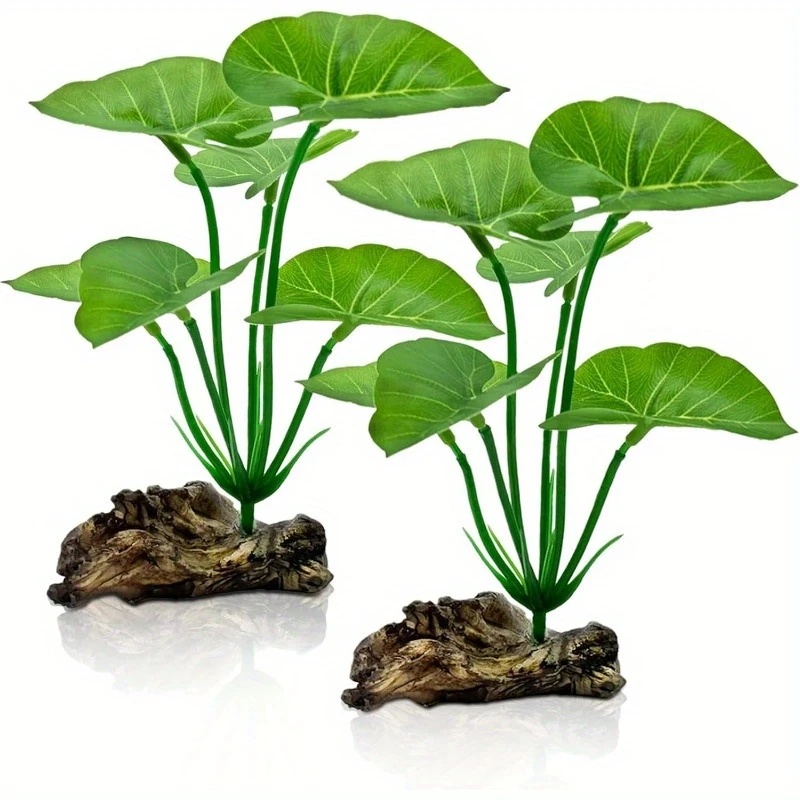 1 Buah Tanaman Akuarium Buatan - Terrarium Moss Art ulasan dan harga