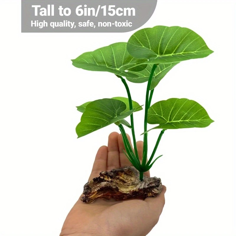 1 Buah Tanaman Akuarium Buatan - Terrarium Moss Art ulasan dan harga