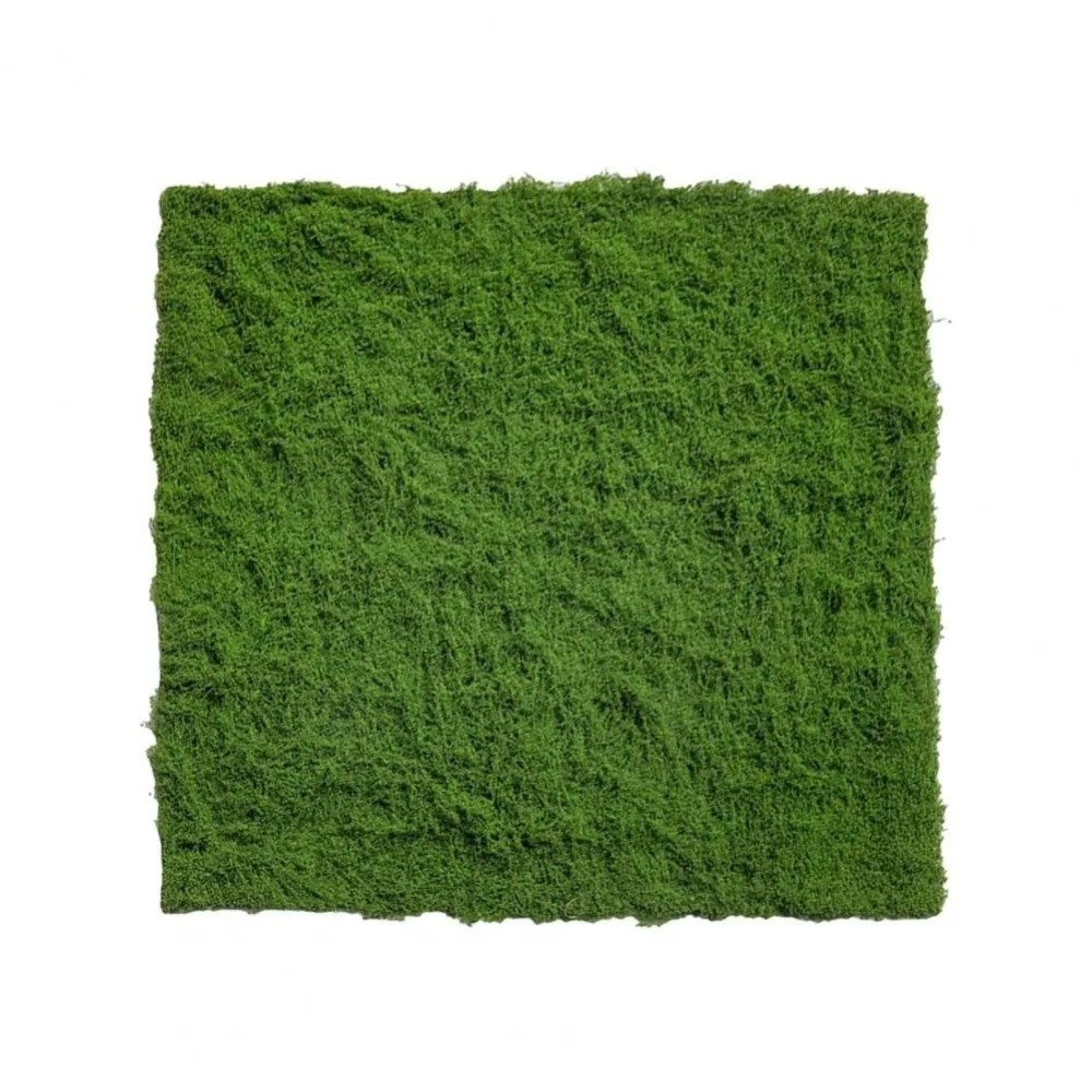 Karpet Rumput Buatan DIY Tahan - Terrarium Moss Art ulasan dan harga