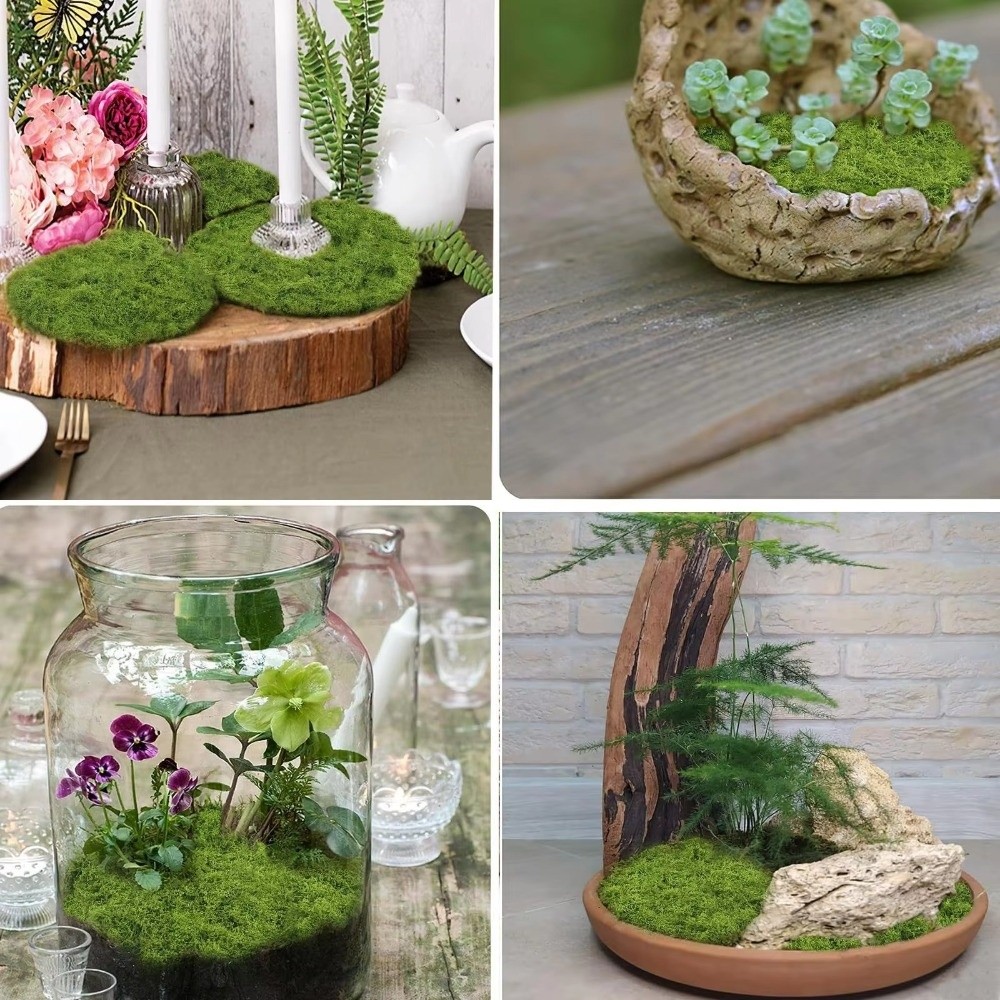 Karpet Rumput Buatan DIY Tahan - Terrarium Moss Art ulasan dan harga