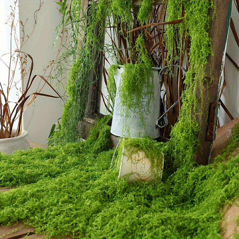 1 Pak lumut palsu buatan, 1.05 - Terrarium Moss Art ulasan dan harga