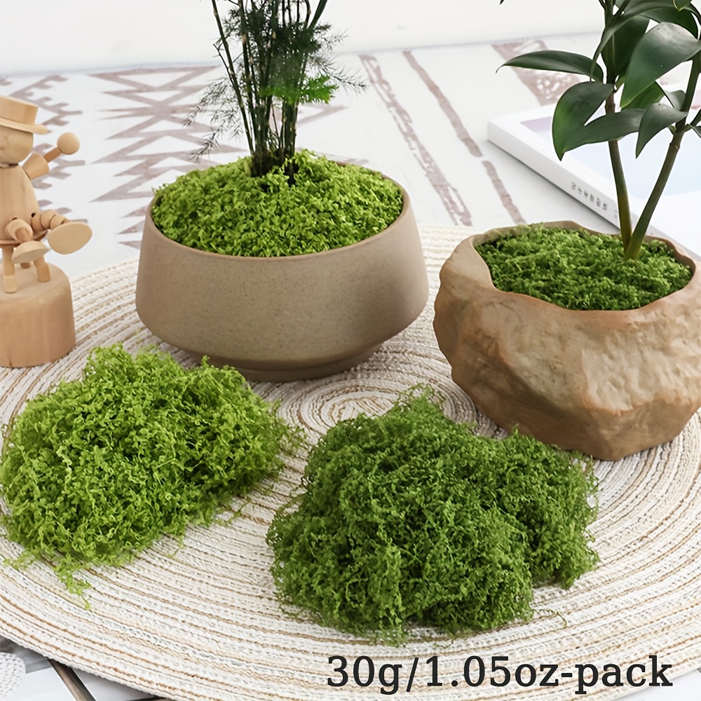 1 Pak lumut palsu buatan, 1.05 - Terrarium Moss Art ulasan dan harga