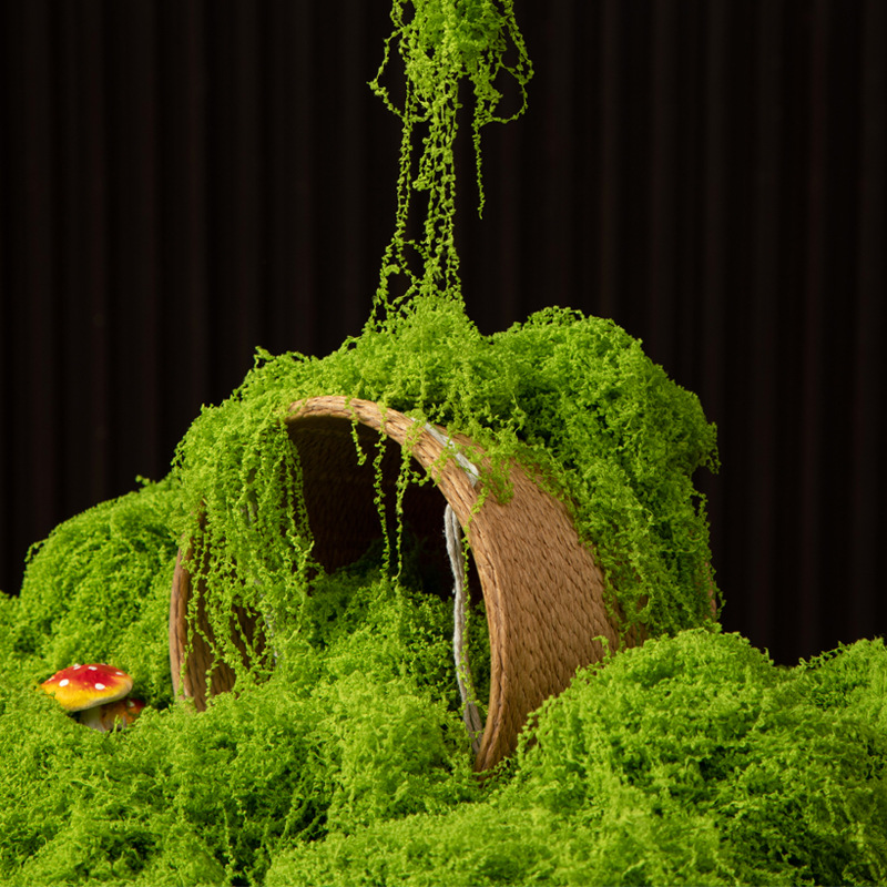 200G Rumput Lumut Kehidupan Ab - Terrarium Moss Art ulasan dan harga