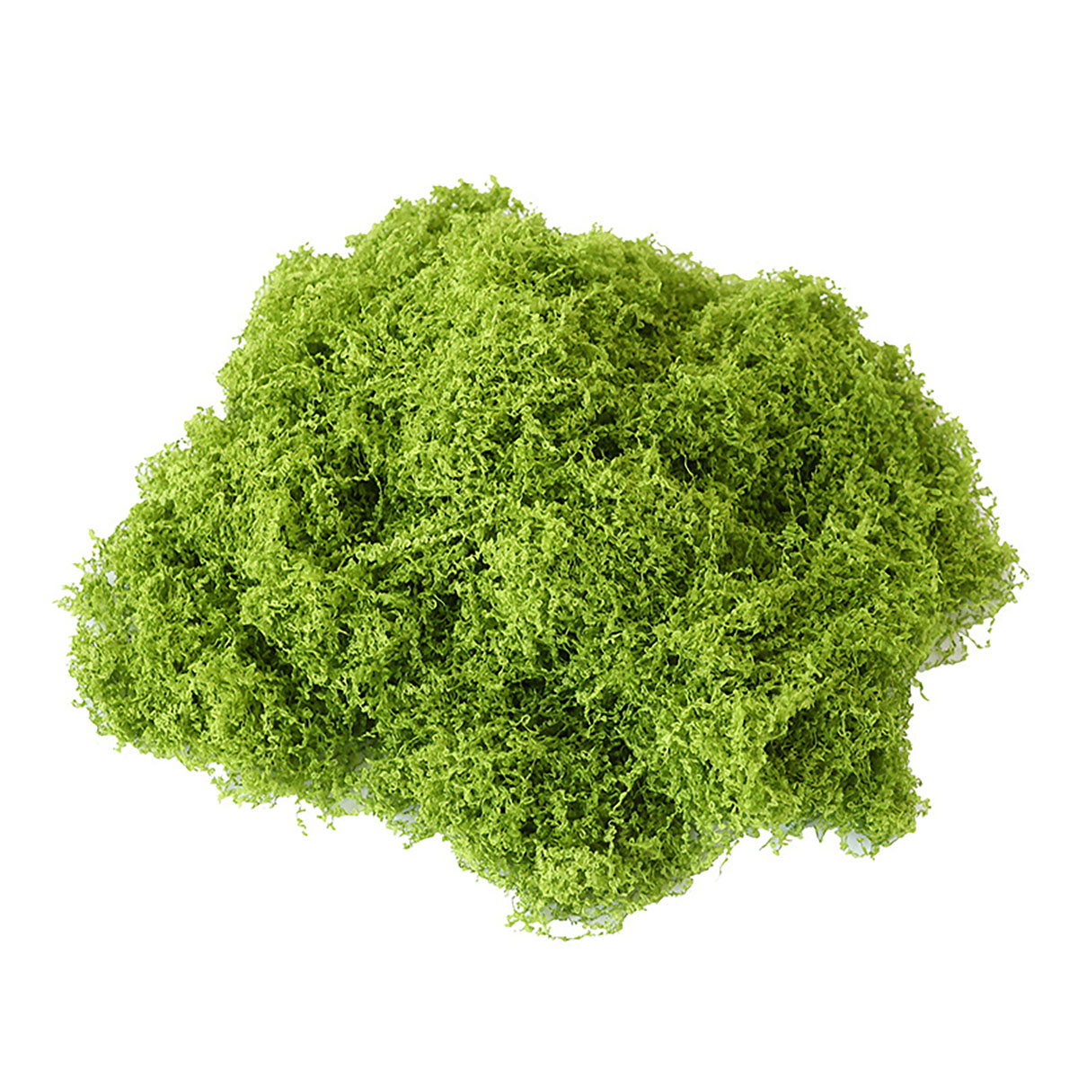 Sekitar 20g Tanaman Hijau Buat - Terrarium Moss Art ulasan dan harga