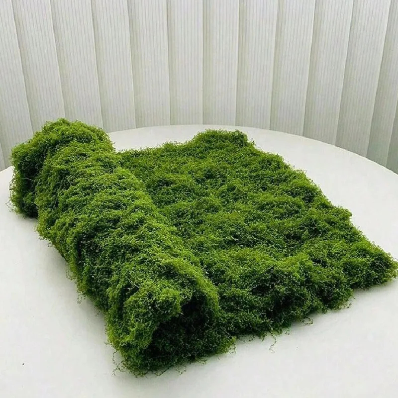 Lumut buatan untuk dekorasi mi - Terrarium Moss Art ulasan dan harga